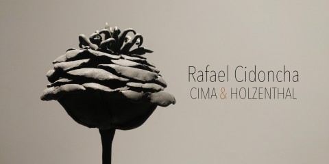 C&H Rafael Cidoncha Cima Holzenthal A